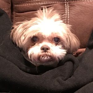 Meet your Posher, Kelly